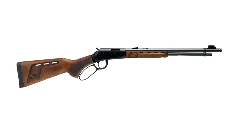 Savage Arms REVEL DLX (rimfire lever)